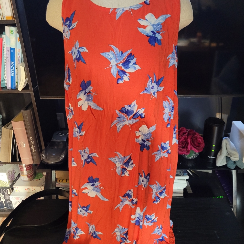 Ava and Viv dress